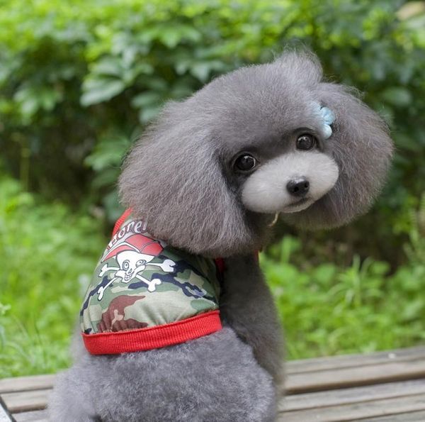 

dog apparel majestic pet special clearance clothes summer vest milk broken code