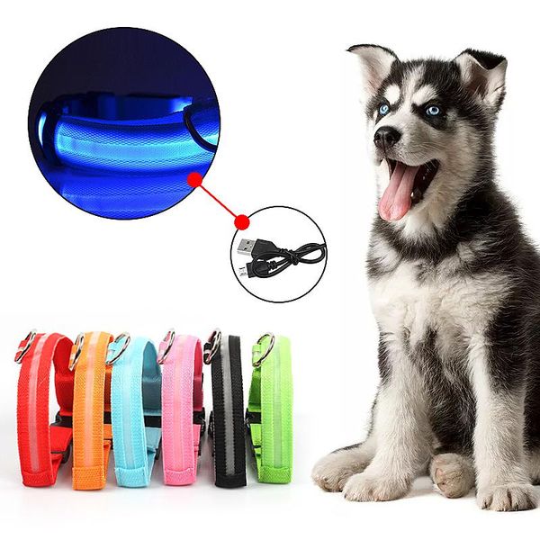 

pet dog collar usb rechargeable luminous flashing safety adjustable nylon necklace puppy cats anti lost supplies collars & leashes
