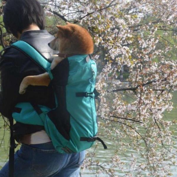 

dog car seat covers pet outdoor backpack medium breathable sport bag carrier for traveling mesh