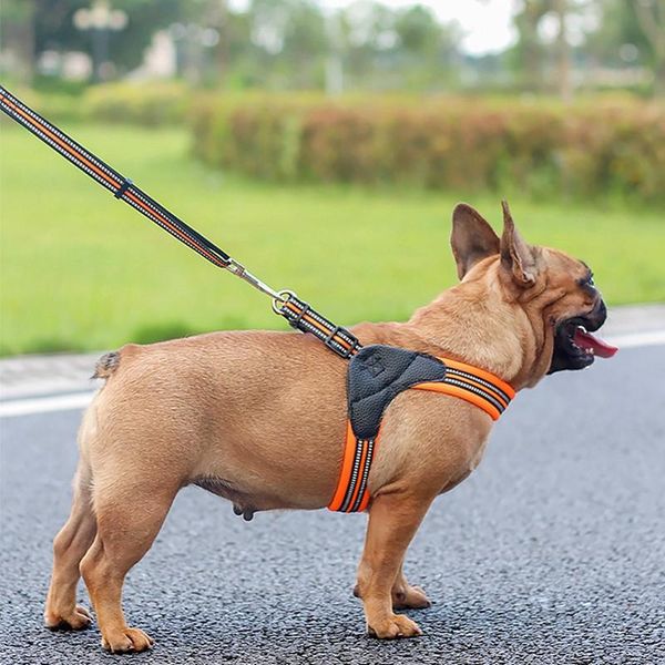 

dog collars & leashes adjustable nylon no pull dogs harness vest big large leash medium pet supplies collar accessories