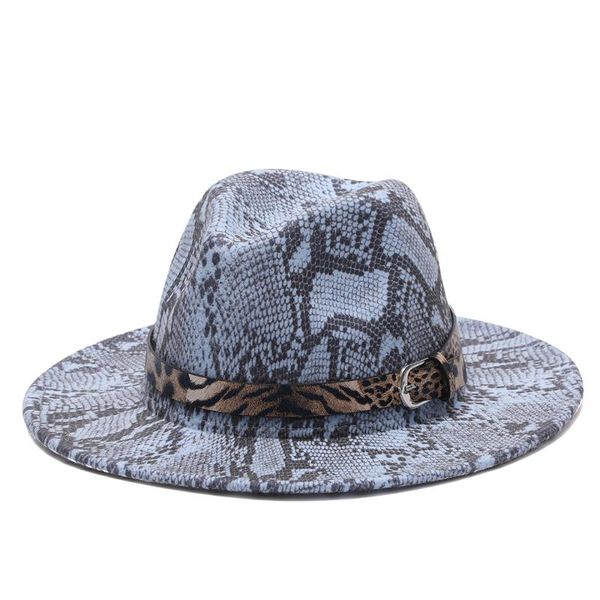 

winter fedora hats for women fashion flat wide brim wool felt jazz snake skin men leopard goth vintage hat cap, Blue;gray