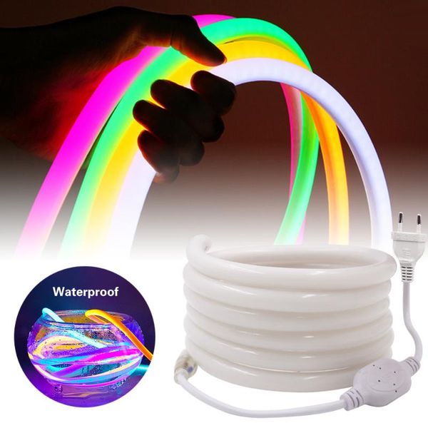 

strips neon strip 220v dc 12v waterproof 360 degree round lighting 2835 led light sign lamp