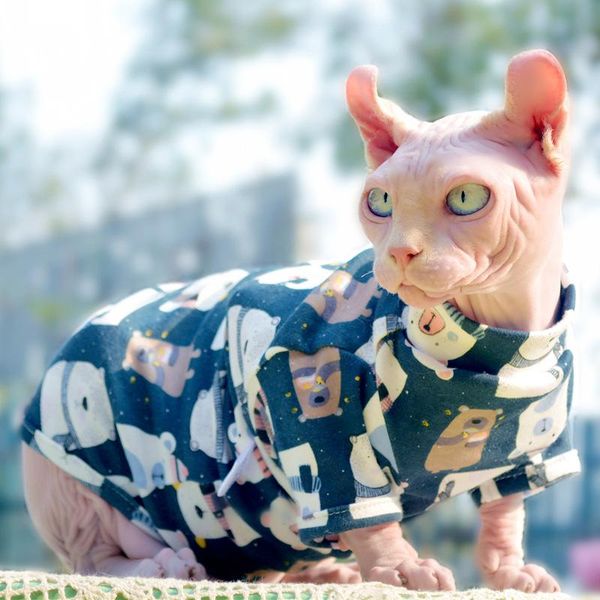 

cat costumes kitten clothes sphinx german baby cotton hoodie summer shirt thin pet anti-hair fall sweater shirts for cats