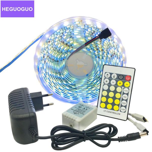

strips dc12v double color led strip 12v cw/ww dual white cct temperature adjustable flexible tape 5m 10m set+remote+adapter
