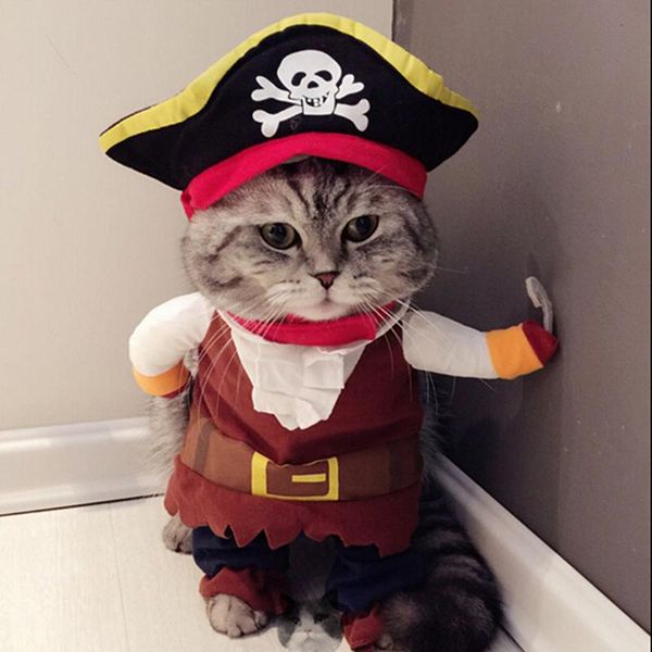 

cat costumes funny clothes for costume clothing dressing up suit