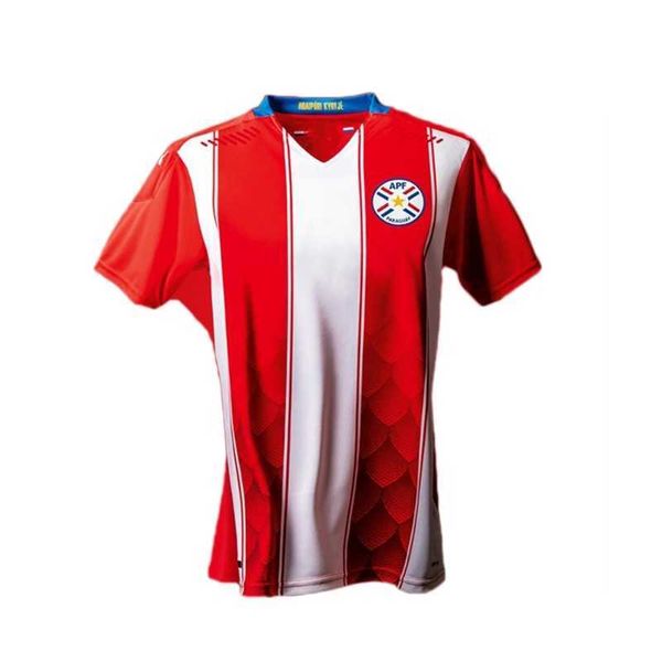 

paraguay football shirt 2020 2021 new home, Gray