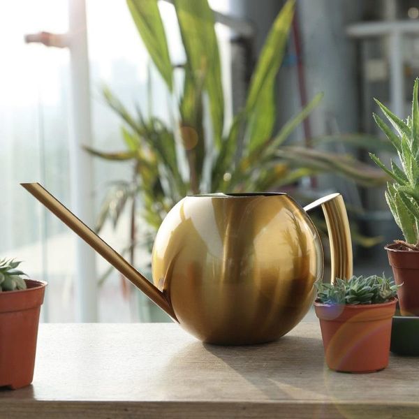 

watering equipments european stainless steel long mouth 1000ml can gardening kettle indoor succulent potted plants pot