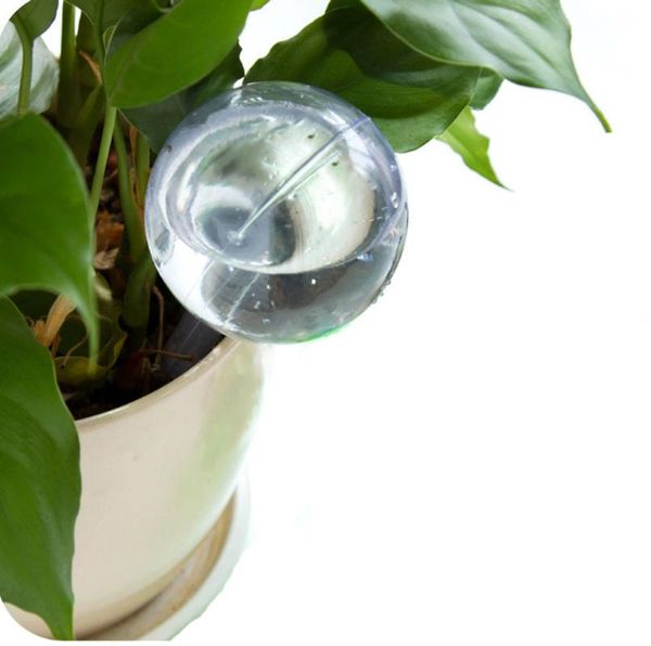 

small gifts automatic watering device houseplant plant pot bulb globe garden house waterer home tool accessories party favor