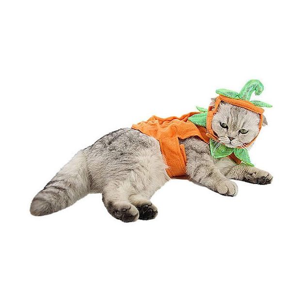 

cat costumes halloween coat dog pumpkin suit theme clothes hat set festival masquerade cosplay costume for pet