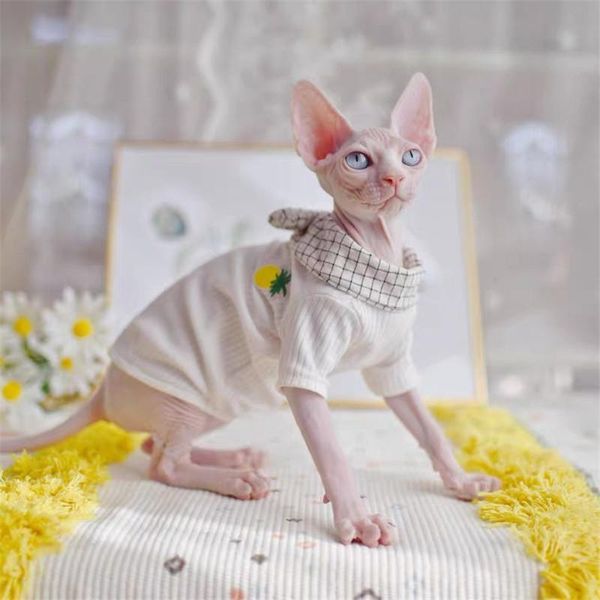 

cat costumes duomasumi pineapple style spring summer hairless clothes fashion sphinx kitty wearing comfort sphynx outfits