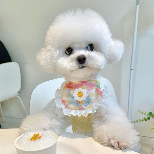 

cat costumes ins cute dog plaid lace bib pet saliva towel bichon teddy hiromi decoration memorial christmas accessories