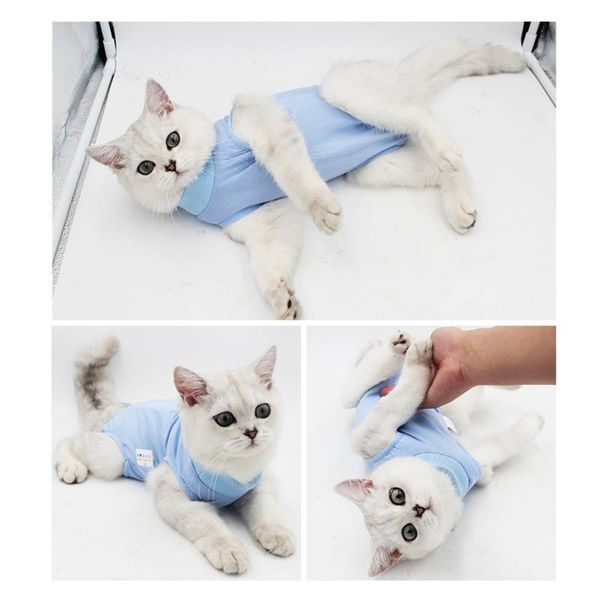 

cat costumes pet costume clothes recovery suit for kitten posrative protective clothing