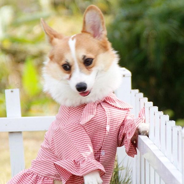 

dog apparel pet idyllic lattice dress and shirt home supplies breeding dresses