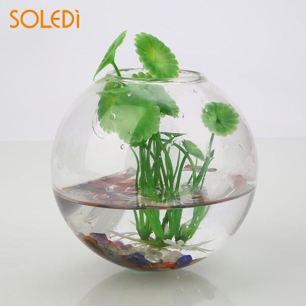 

vases walled vase wall hang glass flower planter terrarium container home decor