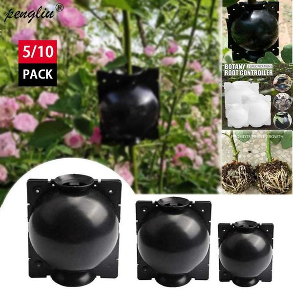 

planters & pots 5/10pcs adjustable plant rooting ball grafting growing box breeding case for garden