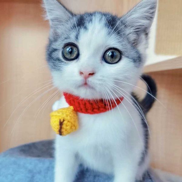 

hand-knitted jingle cat silent collar pet jewelry yarn knitting cute small collars & leads