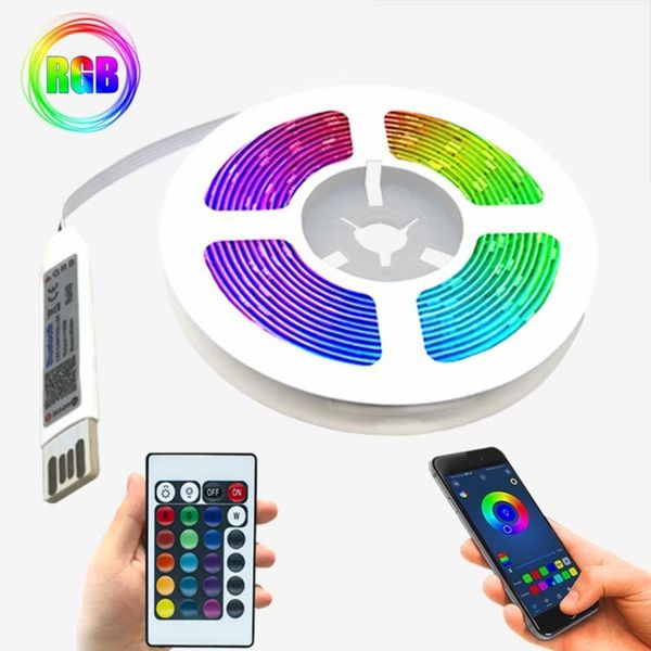 

led strips light dc5v usb cable ribbon lighting bluetooth model ir remote controller decoration bedroom luminous lamp