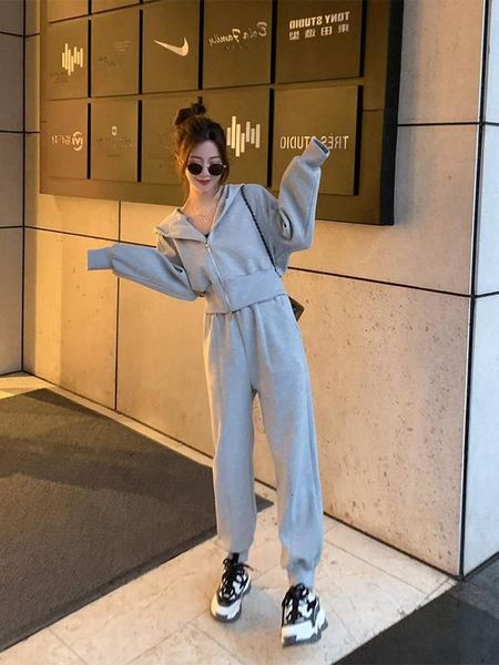 

women's tracksuits hooded cardigan sweater suit early spring chic wide leg sports pants net red two piece set, Gray