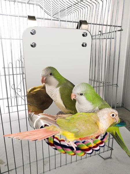 

other bird supplies parrot biting toy large mirror cotton rope standing bar suit camera training