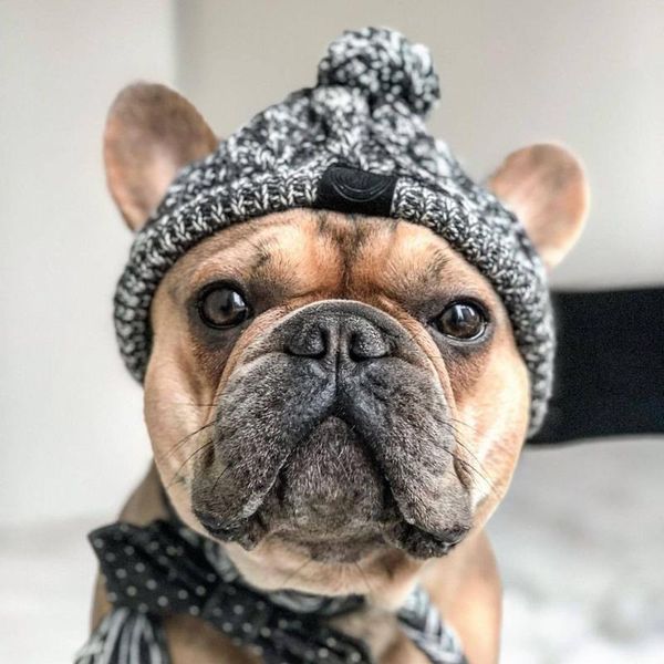 

dog apparel winter hat classic warm pet knitted warmth for medium dogs sal99