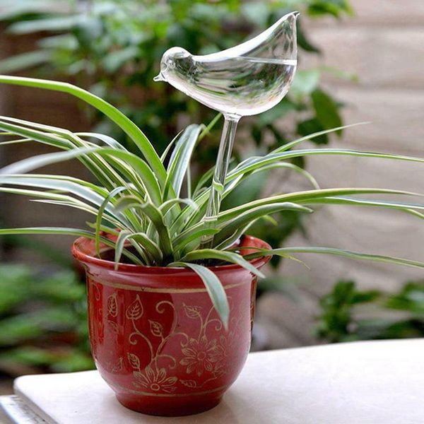 

watering equipments 1 pcs plastic plant waterer self globes, bird shape hand blown clear aqua bulbs garden supplies