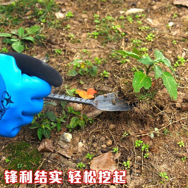 

spade for digging wild vegetables old fashioned forging tools planting flowers soil and weeding agricultural planters & pots