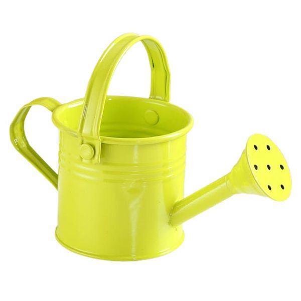 

tin watering can plant spray metal portable gardening tools with handle sprinkled wrought iron shower equipments