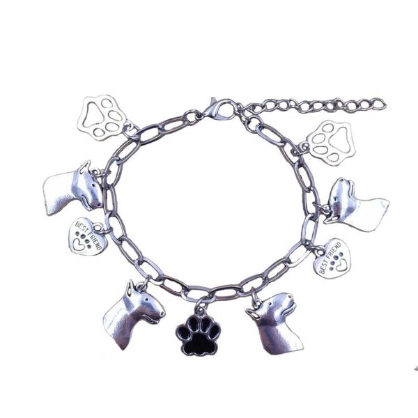 

anklets 16 styles stainless steel dog animal ankle chains summer beach foot jewelry anklet accessories holiday women gift a009, Red;blue