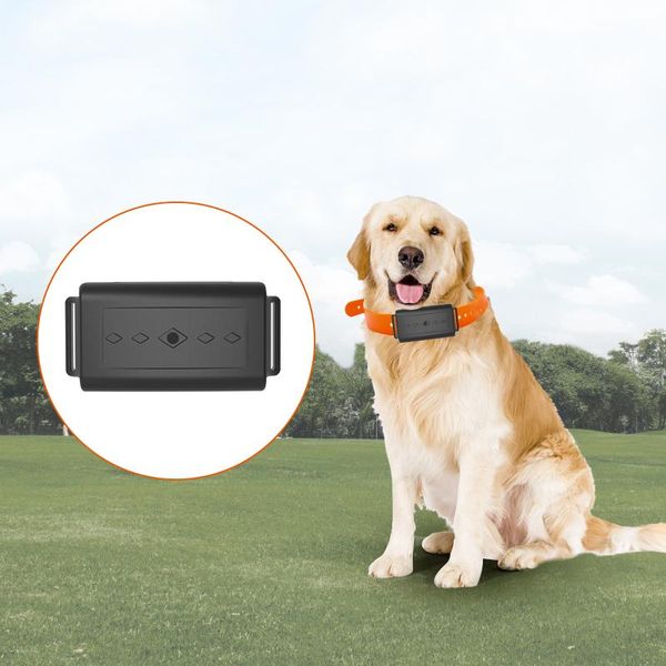 

car gps & accessories china oem factory 4g dog collar tracker real time tracking device price mini locator for cat animal