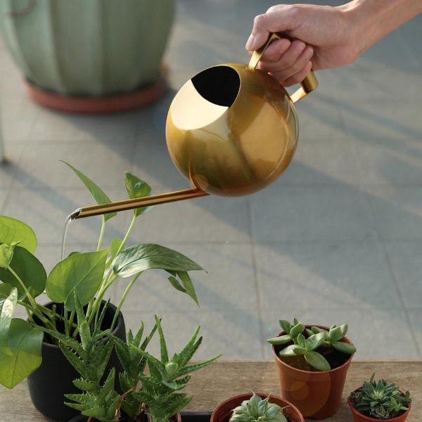 

watering equipments 1000ml pot stainless steel long mouth green plant can golden kettle small gardening tool