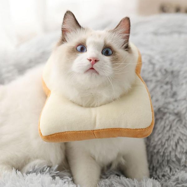 

adjustable bread shape pet protective collar dog neck cone recovery anti-bite wound healing cat dogs collars & leads