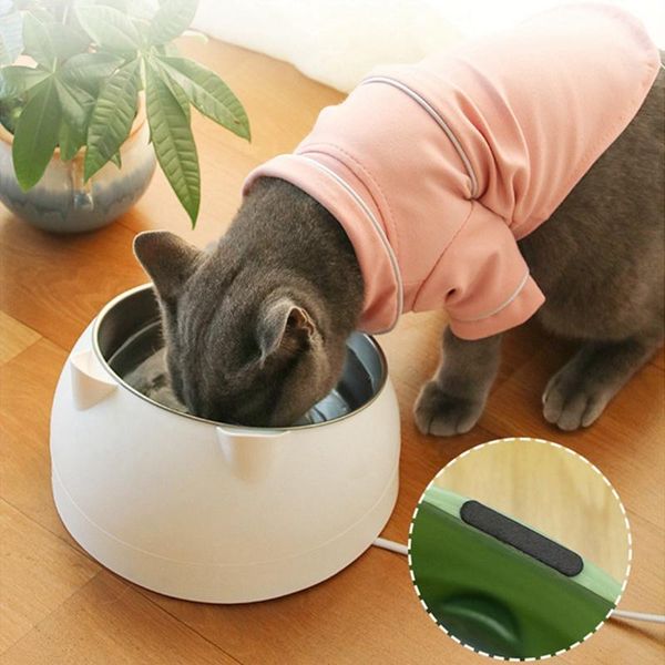 

21cm non-slip cats bowls with raised stand pet water bowl for dogs feeders supplies a cat &