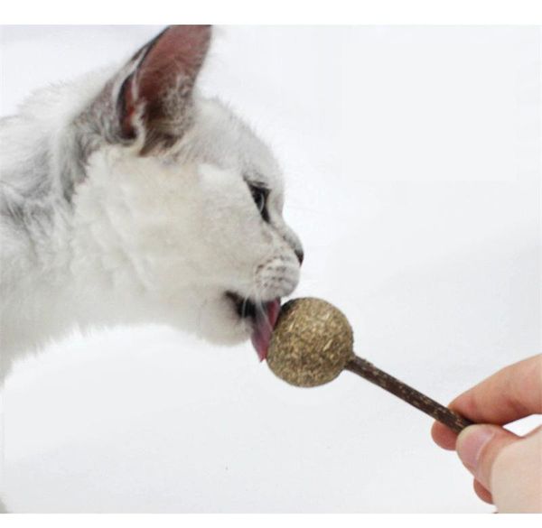 

cat toys sktn cleaning teeth mint ball lollipop natural catnip molar chew stick playing toy pet supplies