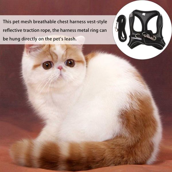 

cat collars & leads 1 set harness leash chest strap and rope kitten traction