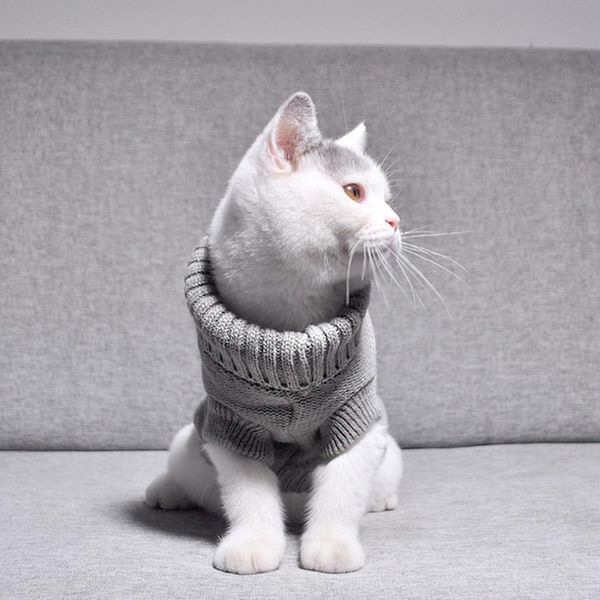 

cat costumes warm pet clothing winter autumn cats knitted sweater jumper puppy coat clothes shirt roupa para gatos kitten oo50wy