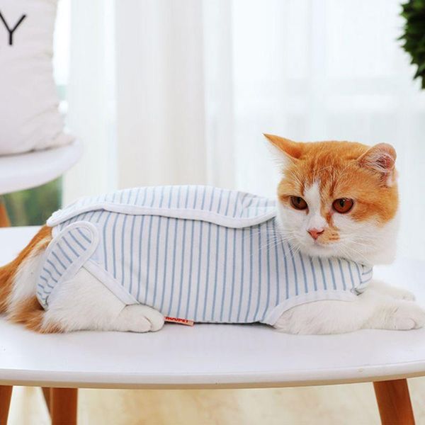 

cat costumes recovery suit sterilization care pet kitten anti bite prevent lick after wear summer vest