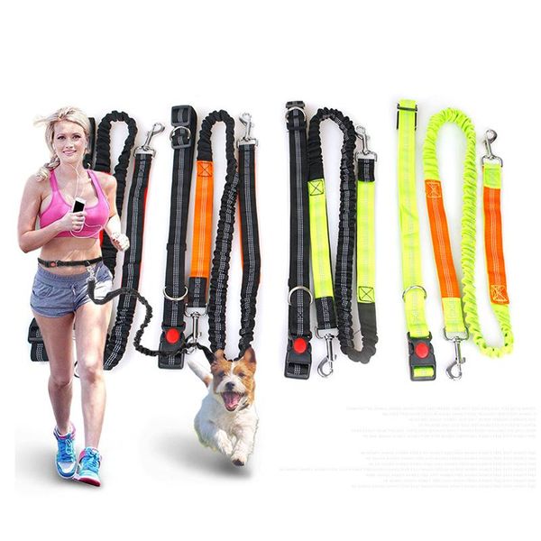 

pet dog polyester elastic belt traction rope sports running reflective fitness nylon rope, walkin collars & leashes