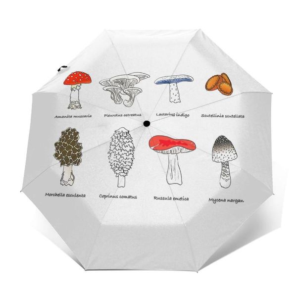 

umbrellas morel umbrella wholesale portable print home protection automatic