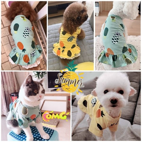 

summer thin pet skirt cute dog cloth small princs t-shirt cool tide brand cat