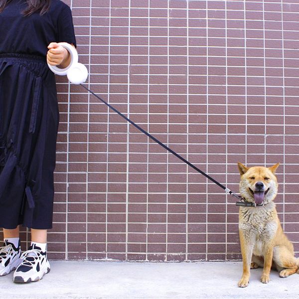 

dog collars & leashes durable automatic retractable pet puppy traction rope with rechargeable led light walking belt leash poop bag