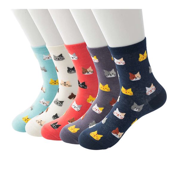 

small animals autumn winter kitten cotton, Black;white