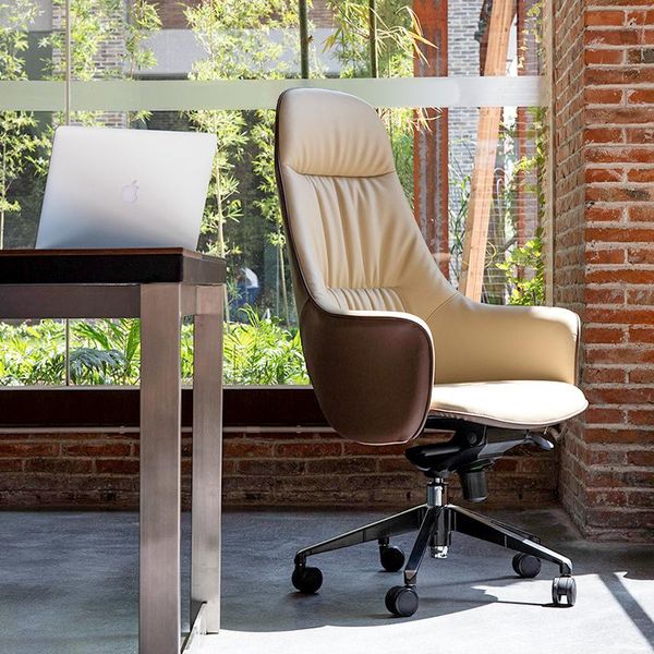 

living room furniture louis fashion creative personality computer chair