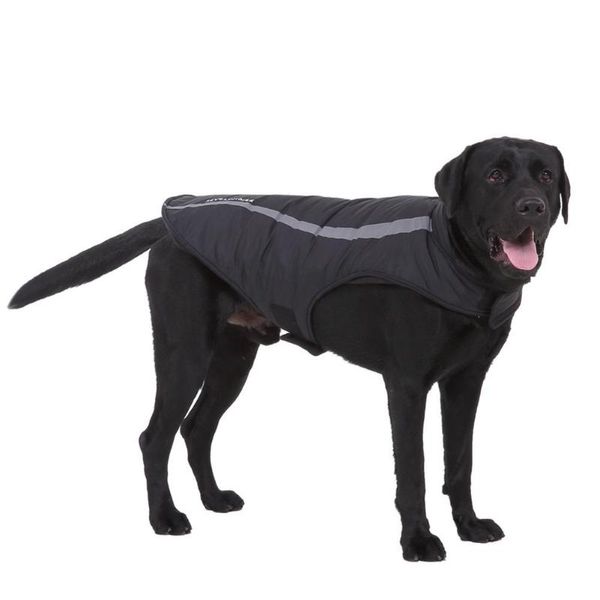 

dog apparel 2021 winter pet jackets waterproof warm reflective cloth #w0