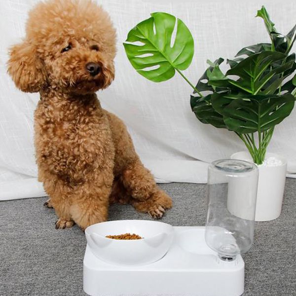 

pet bowl automatic feeder dog cat food with water dispenser double drinking dish supplies