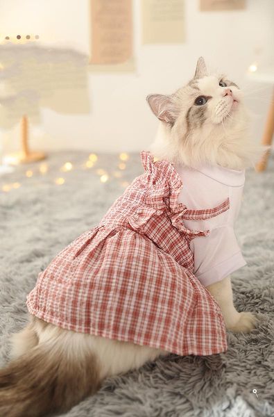 

cat costumes pets outfits warm clothes for small medium dogs coat
