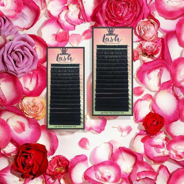 

sample 16lines eyelash extension faux mink volume individual lashes black premium eyelashes with private label box false1