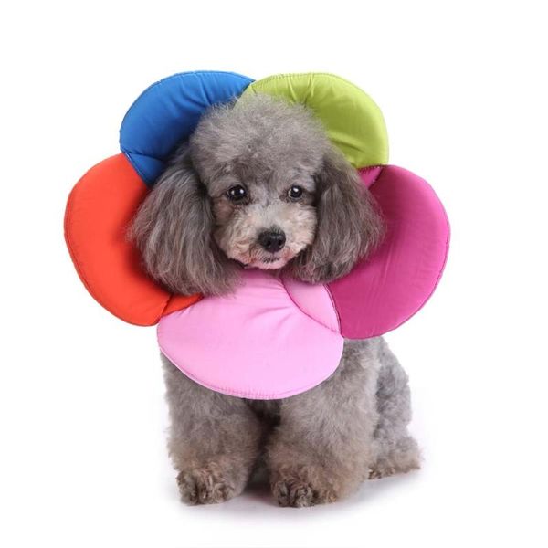 

dog collars & leashes pet circle cat grooming protector collar cover healthy supplies uyt shop