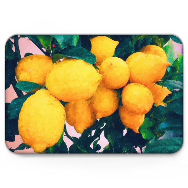 

cushion/decorative pillow oil painting summer doormat non-slip rug soft bath mats bathroom supplies carpet living room