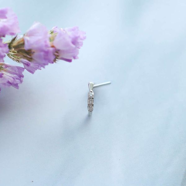 

fashion stainless steel false without perforated puncture