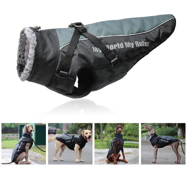 

dog apparel style pet clothes, warm autumn and winter pets, outdoor plus cotton big supplies